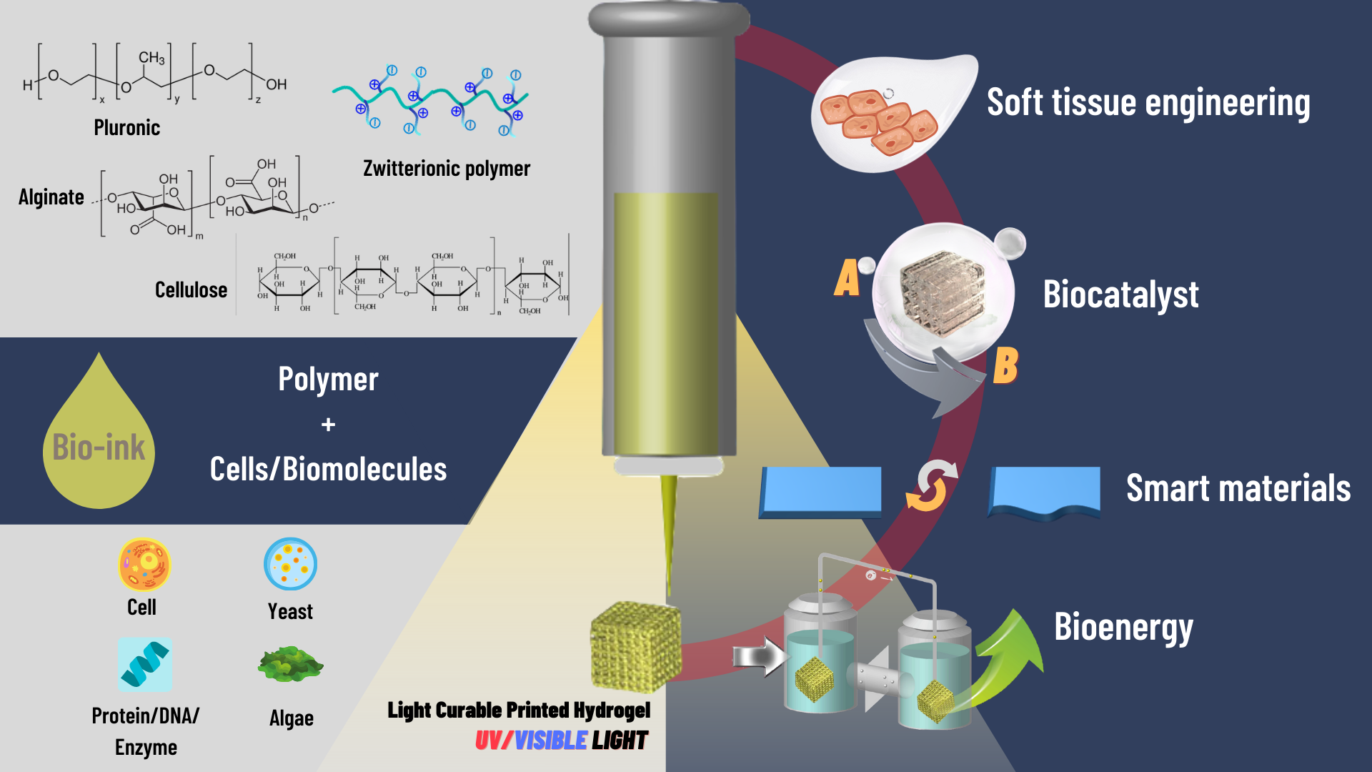 D D Printed Hydrogels For Soft Tissue Engineering Biocatalysis And